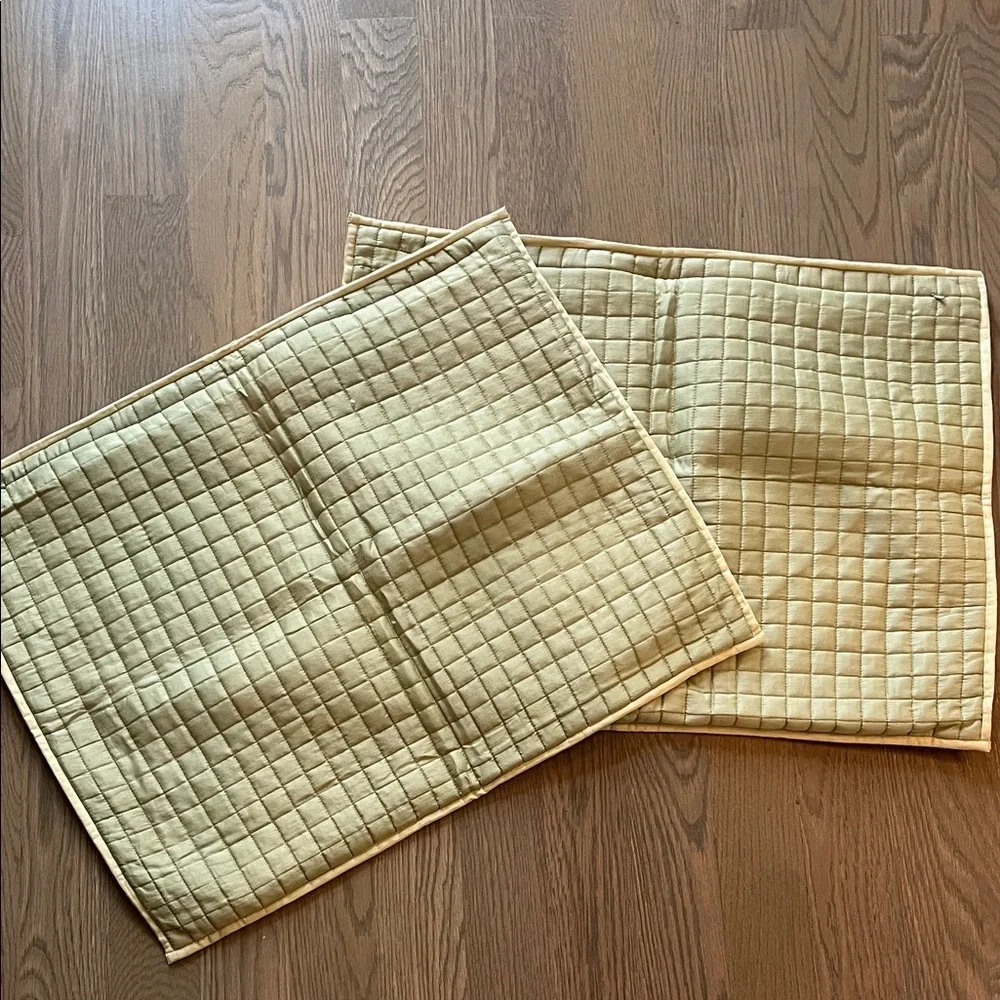 Crate & Barrel Set of Two Quilted Standard Pillow Shams